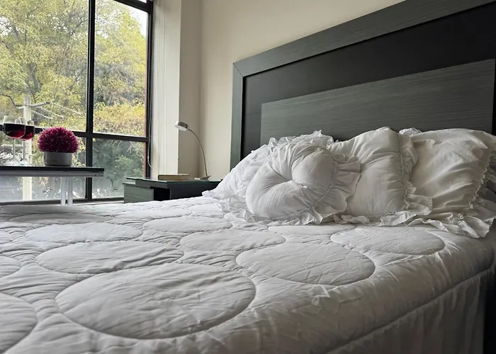 Mondomexico Deluxe 2 Bedroom Apartment Mexico City